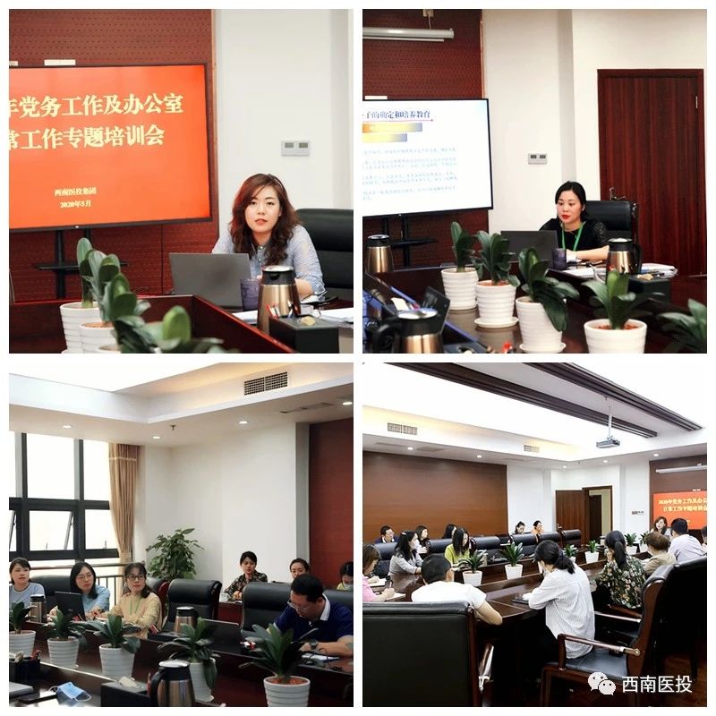 多舉措夯實業(yè)務(wù)基礎(chǔ)，高質(zhì)量助推能力提升—西南醫(yī)投集團舉辦黨建及辦公系統(tǒng)實務(wù)操作專題培訓(xùn)會