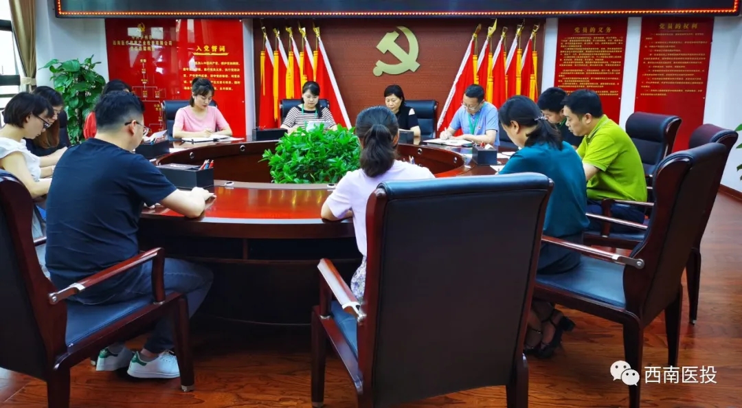西南醫(yī)投集團(tuán)第二黨支部開展“逐夢起新航，習(xí)近平寄語青年”黨課活動(dòng)
